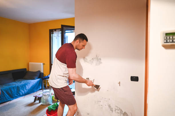 Office Mold Removal Services in Arcadia, WI